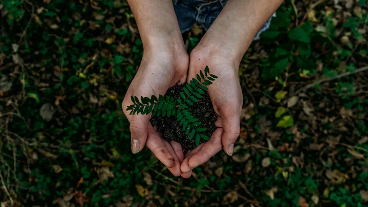 Engagement civique et soutien désintéressé aux projets de terrain